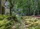 A tranquil backyard features lush ferns lining a stone walkway leading to a serene landscaped area at 4608 Morrowick Rd, Charlotte, NC 28226