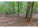Leafy backyard, with plenty of trees, covering the ground with leaves, with a home structure in the background at 505 Kemp Rd, Mooresville, NC 28117