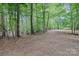Expansive, secluded backyard surrounded by lush greenery and mature trees on a sunny day at 505 Kemp Rd, Mooresville, NC 28117