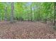 Leafy backyard landscape at 505 Kemp Rd, Mooresville, NC 28117
