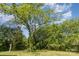 Large backyard with lush greenery and a large shady tree providing a peaceful and private outdoor space at 1302 N Ellis St, Salisbury, NC 28144