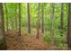 This natural landscape is a scenic wooded area at 2609 Cove Creek Dr, Gastonia, NC 28056