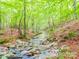 Peaceful creek with rock bed surrounded by lush greenery and trees on property at 3750 Turner Rd, Clover, SC 29710