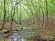 Babbling brook flows through a serene wooded lot with mature trees and natural beauty at 3750 Turner Rd, Clover, SC 29710