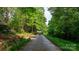 A long driveway through a lush canopy of trees leading to the home at 4647 16Th Street Ne Pl, Hickory, NC 28601