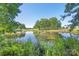 Scenic view of a pond surrounded by lush greenery and trees at 5710 Lander Benton Rd, Unionville, NC 28110