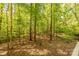 Backyard of the home showing a tranquil, wooded view from the vantage of an elevated deck at 2310 Vestry Pl, Charlotte, NC 28270