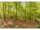 View of the beautiful backyard with a lush forest setting, creating a private oasis at 2310 Vestry Pl, Charlotte, NC 28270