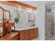 Traditional bathroom with wood vanity and cabinets, hanging plants and modern fixtures at 3755 River Rd, Richfield, NC 28137