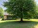 Exterior view of a home with a stone facade and a large tree in the front yard at 7728 Babe Stillwell Farm Rd, Huntersville, NC 28078