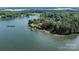 Aerial view of a waterfront property on Lake Norman with mature trees at 9115 Clement Cir, Terrell, NC 28682