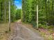Gravel driveway leading to a wooded property with a gated entrance at 140 Hearthstone Dr, Statesville, NC 28677