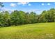 Picturesque green meadow bordered by trees, ideal for outdoor activities and enjoying nature at 140 Hearthstone Dr, Statesville, NC 28677
