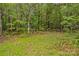 Dense wooded area with lush greenery and a vibrant undergrowth at 140 Hearthstone Dr, Statesville, NC 28677