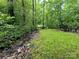 Scenic view of a tranquil creek flowing through a lush, green landscape at 2437 Woodleigh Dr, Gastonia, NC 28056