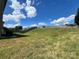 Large, grassy backyard with a wooden privacy fence at 11505 Sweetbriar Ridge Dr, Charlotte, NC 28269