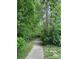 Scenic walking path surrounded by lush greenery and mature trees at 15037 Taylor Ridge Ln # 25, Charlotte, NC 28273