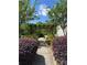 Landscaped walkway with an attractive pergola entrance and vibrant foliage on either side at 15037 Taylor Ridge Ln # 25, Charlotte, NC 28273