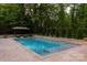 Backyard pool surrounded by lush trees and landscaping with an outdoor lounge area at 405 Gladelynn Way, Waxhaw, NC 28173