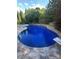 Sparkling backyard pool with stone coping, diving board and mature landscaping for privacy at 504 Johnsfield Rd, Shelby, NC 28150