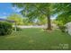 A serene backyard featuring a large tree, a well-kept lawn, and a white fence at 8206 Idlewild Rd # 22, Indian Trail, NC 28079