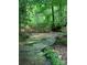 A charming creek surrounded by lush green trees and foliage in a serene, wooded area at 112 Paradise Hills Cir, Mooresville, NC 28115
