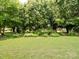 Green and lush backyard with mature trees and a well-maintained lawn at 11332 Ridge Oak Dr, Charlotte, NC 28273