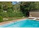 In-ground pool with safety ladders and a diving board, surrounded by lush landscaping for privacy at 206 Cedarwood Dr, Salisbury, NC 28147