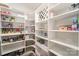 Spacious walk-in pantry with ample shelving for organized storage and pantry items at 113 Callandor Ct, Troutman, NC 28166