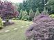 Lush backyard featuring stepping stones and colorful landscaping at 2330 Winthorp Ridge Rd, Charlotte, NC 28270