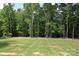 Expansive, well-maintained backyard with lush greenery and mature trees, perfect for outdoor activities at 3011 Buffett Ln # 33, Monroe, NC 28110