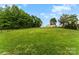 Large, green backyard with a black metal fence and mature trees at 865 Wingthorn Rose Dr, Gastonia, NC 28056