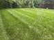 Large, well-maintained backyard with lush green grass and mature trees at 13123 Ashley Meadow Dr, Charlotte, NC 28213