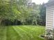 Spacious backyard featuring mature trees and a freshly mowed lawn at 13123 Ashley Meadow Dr, Charlotte, NC 28213
