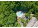 Aerial view of a heart-shaped pool surrounded by lush greenery and lounge chairs in a beautiful outdoor setting at 19143 Juanita Ln, Cornelius, NC 28031