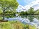 Scenic pond with a fountain surrounded by lush greenery and clear skies at 2315 Lawton Bluff Rd, Charlotte, NC 28226