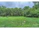 Expansive backyard view surrounded by lush green trees at 8221 Pineville Matthews Rd # G, Charlotte, NC 28226