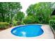 Backyard pool surrounded by lush landscaping and privacy trees at 1285 10Th Street Nw Blvd, Hickory, NC 28601