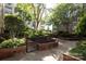 Peaceful courtyard showcasing manicured greenery, walkways and inviting community space at 1320 Fillmore Ave # 426, Charlotte, NC 28203