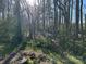 Tranquil backyard with a charming shed, wooden bridge and abundant trees, creating a peaceful outdoor space at 3898 Longwood Sw Dr, Concord, NC 28027