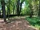 Lush backyard surrounded by mature trees and ivy creating a private and serene outdoor space at 9907 Furlong Trl, Charlotte, NC 28269
