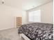 Bedroom features soft carpeting, a large window, and modern furnishings at 11019 Daisy Ct, Charlotte, NC 28262