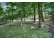 Wooded backyard featuring mature trees and recreational equipment at 1506 Ivy Bluff Way, Matthews, NC 28105