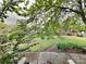 View of fenced in backyard and foliage at 2001 Tyvola Rd, Charlotte, NC 28210