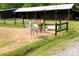 Two horses grazing in a fenced area of the property at 536 Brookhaven Rd, Statesville, NC 28625