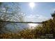 Picturesque view of the lake surrounded by lush greenery, perfect for nature lovers at 27037 Tidal Way, Tega Cay, SC 29708