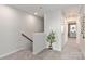 Bright hallway featuring neutral walls, carpet, and a potted plant at 4229 Summit Woods Dr, Charlotte, NC 28216