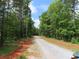 Long driveway winding through a lush forest landscape, creating a private entrance at 2099 Cedar Rd, York, SC 29745