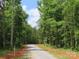 Scenic drive leads to wooded property, offering privacy and a connection to nature at 2099 Cedar Rd, York, SC 29745