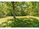Large backyard offers a relaxing outdoor space with mature trees and a well-kept lawn at 28782 Canton Rd # A, Albemarle, NC 28001